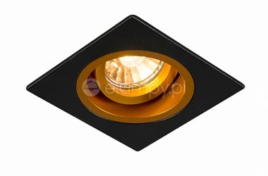 spot-chuck-dl-square